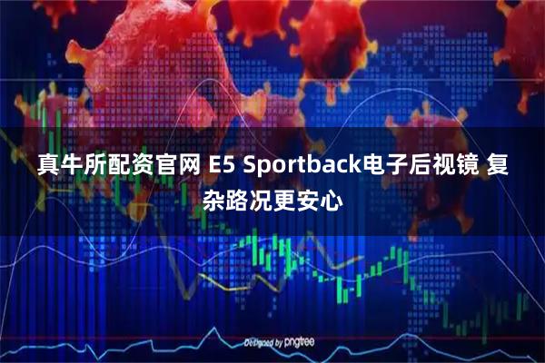 真牛所配资官网 E5 Sportback电子后视镜 复杂路况更安心